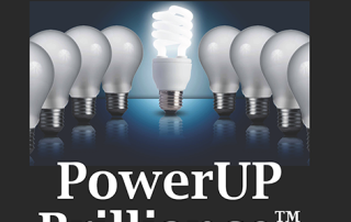 Power Up Brilliance book cover
